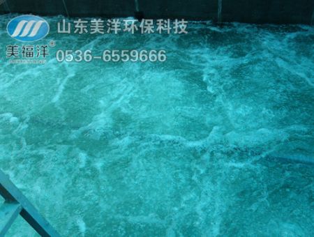 點擊查看詳細信息<br>標題：曝氣 閱讀次數(shù)：3275