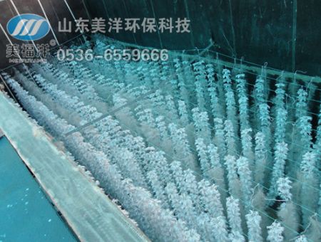 點擊查看詳細信息<br>標題：填料 閱讀次數(shù)：2995